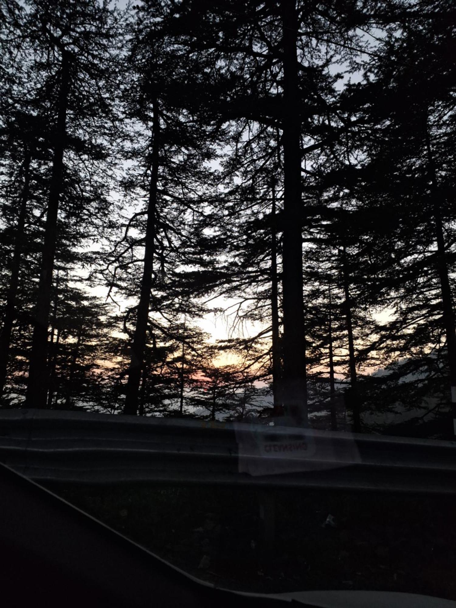 Anand Niketan * Shimla